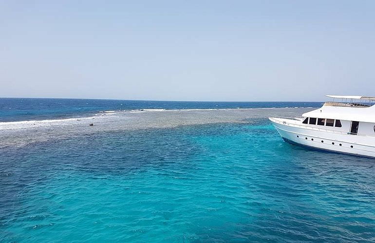 Ausflug zum Schnorcheln mit dem Boot von El Quseir aus