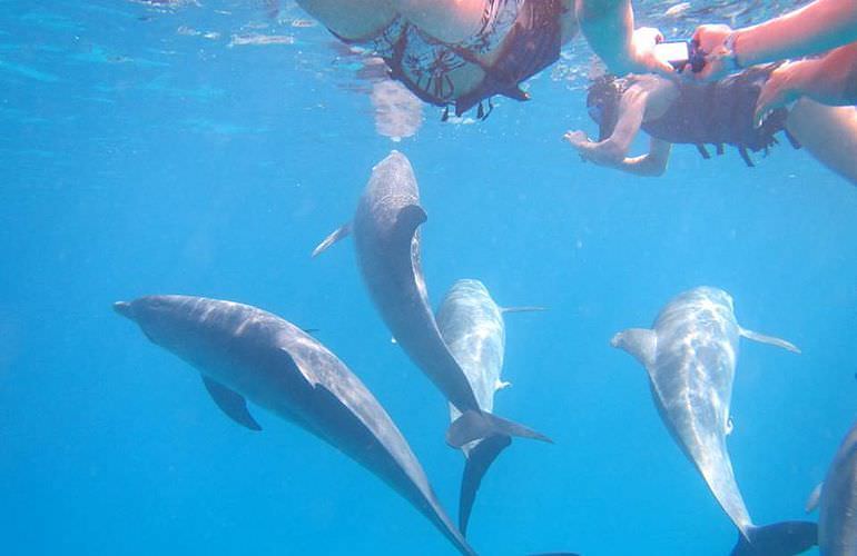 2-tägiger Schnorchelausflug zum Sataya Dolphin Reef von El Quseir