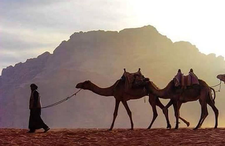 Kamelreiten in El Quseir: Reiten am Strand oder in der Wüste