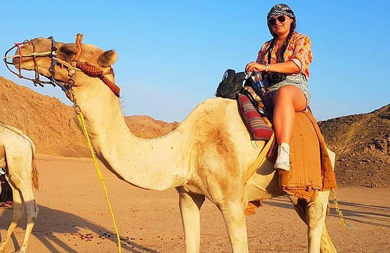 Kamelreiten in El Quseir: Reiten am Strand oder in der Wüste