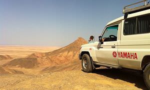 Kombi-Wüstentour in El Quseir: Quad, Jeep und Kamelreiten