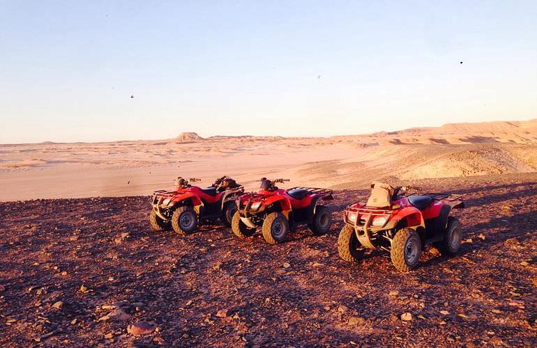 Kombi-Wüstentour in El Quseir: Quad, Jeep, Buggy und Kamelreiten