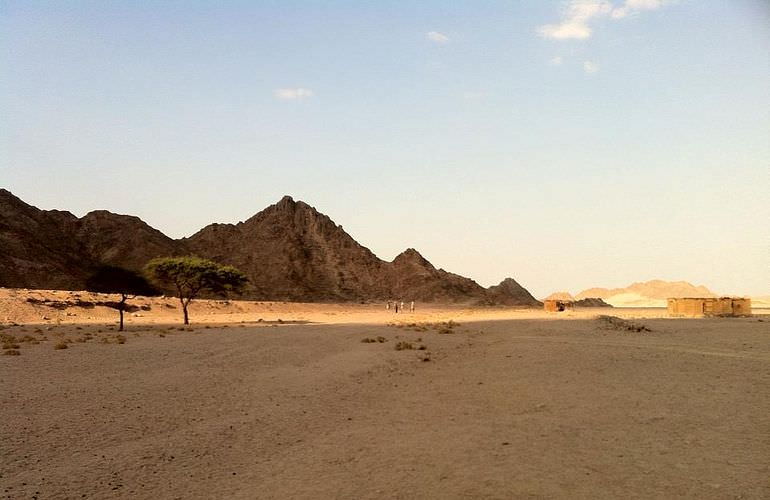 Kombi-Wüstentour in El Quseir: Quad, Jeep, Buggy und Kamelreiten