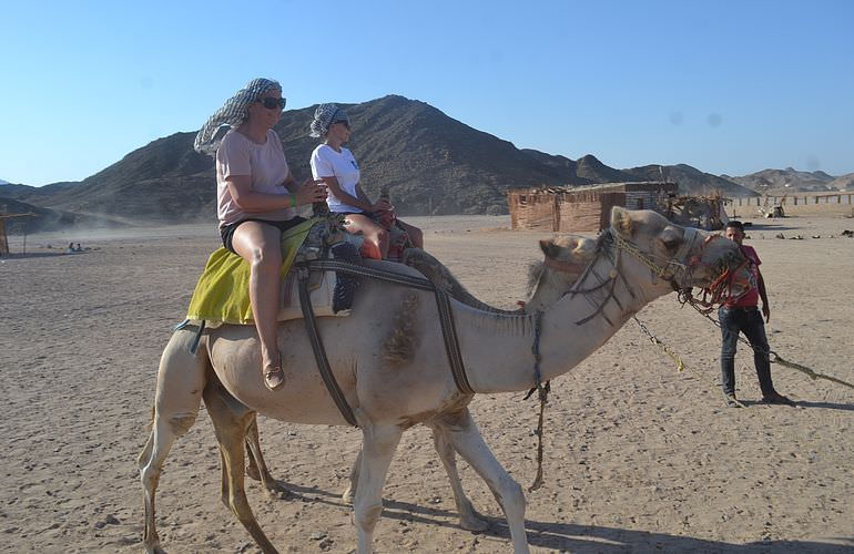 Kombi-Wüstentour in El Quseir: Quad, Jeep, Buggy und Kamelreiten