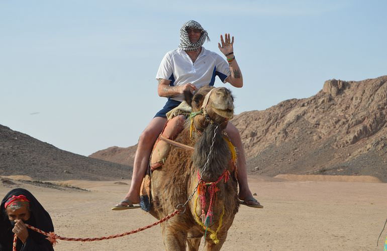 Kombi-Wüstentour in El Quseir: Quad, Jeep, Buggy und Kamelreiten