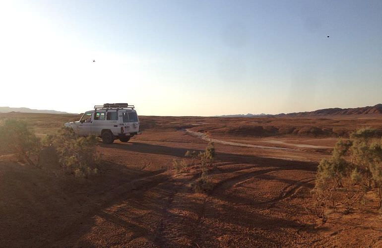 Kombi-Wüstentour in El Quseir: Quad, Jeep, Buggy und Kamelreiten