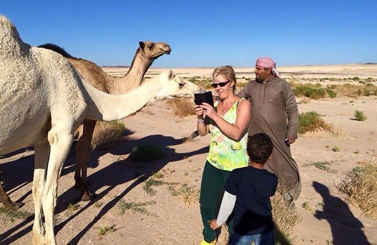 Kombi-Wüstentour in El Quseir: Quad, Jeep, Buggy und Kamelreiten