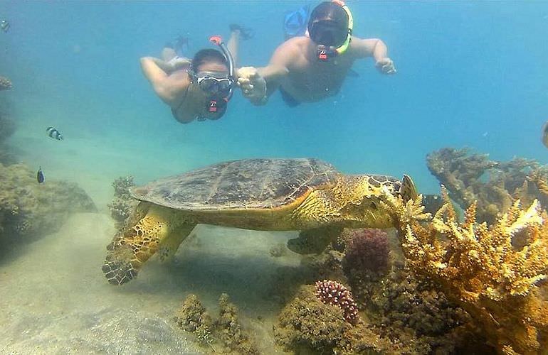 Schnorchelausflug zur Marsa Mubarak Bucht von El Quseir aus