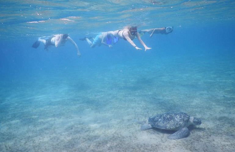 Ausflug nach Marsa Mubarak und Marsa Shoona von El Quseir aus