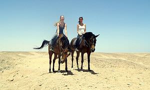 Pferde Reiten in El Quseir: Reiten am Strand oder in der Wüste