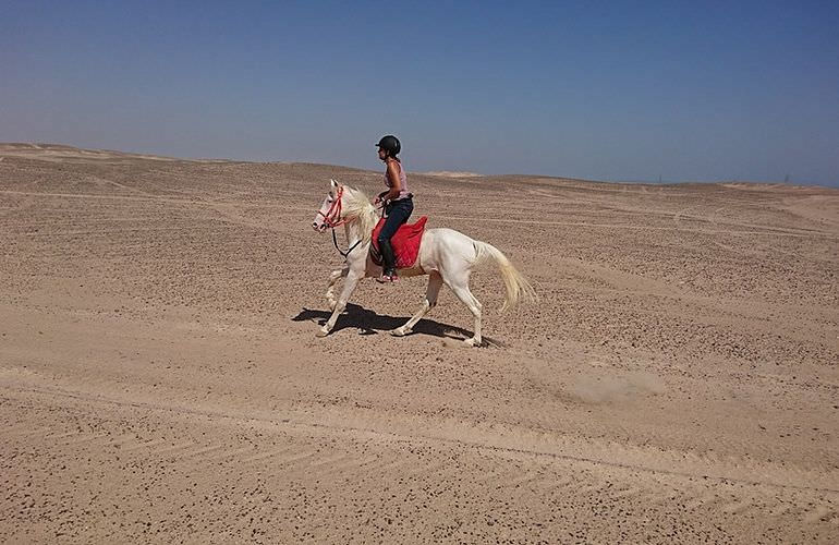 Pferde Reiten in El Quseir: Reiten am Strand oder in der Wüste