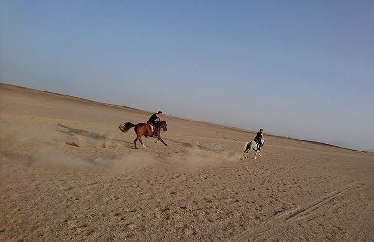 Pferde Reiten in El Quseir: Reiten am Strand oder in der Wüste