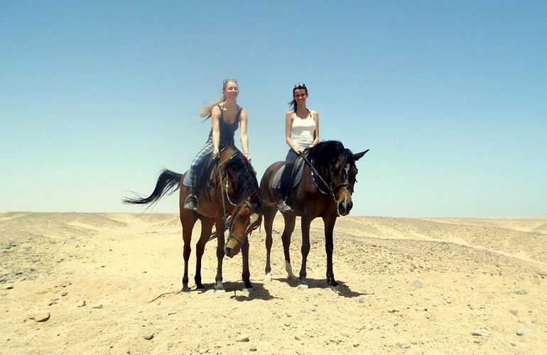 Pferde Reiten in El Quseir: Reiten am Strand oder in der Wüste