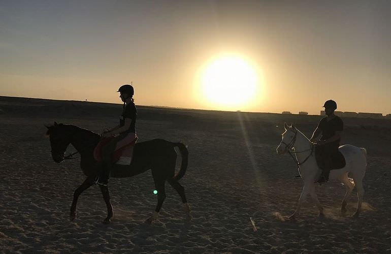 Pferde Reiten in El Quseir: Reiten am Strand oder in der Wüste