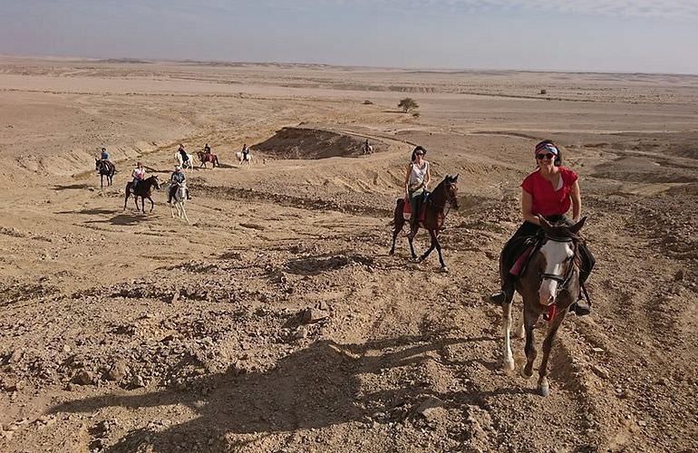 Pferde Reiten in El Quseir: Reiten am Strand oder in der Wüste