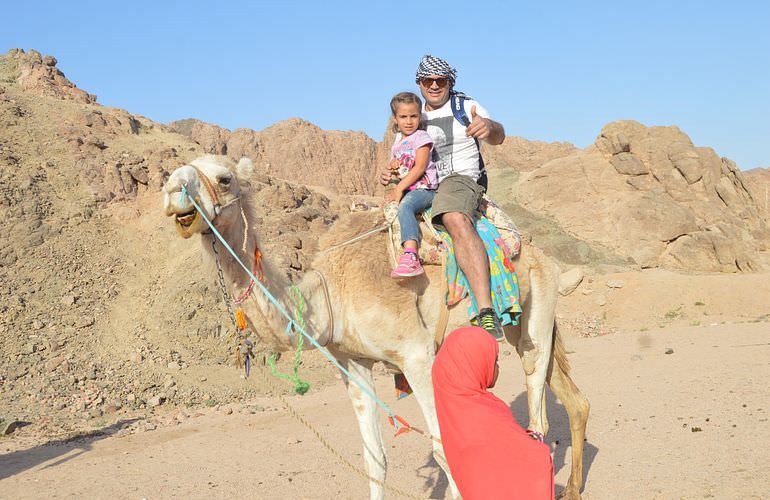 Quad Safari am Morgen in El Quseir mit Kamelreiten im Beduinendorf