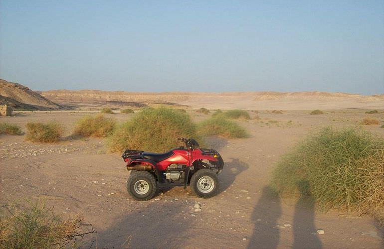 Quad Safari am Morgen in El Quseir mit Kamelreiten im Beduinendorf