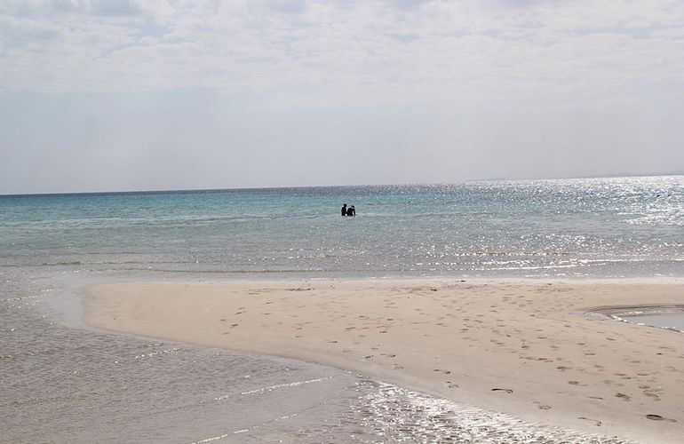 Qulaan Inseln in Marsa Alam - Schnorchelausflug ab El Quseir