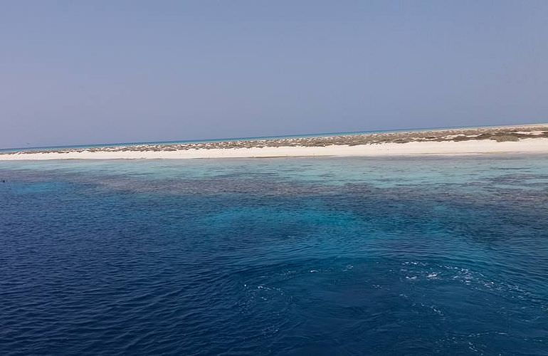 Qulaan Inseln in Marsa Alam - Schnorchelausflug ab El Quseir