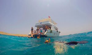 Schnorchelausflug zur Marsa Mubarak Bucht von El Quseir aus