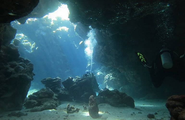 2-tägige Tauchsafari zum Sataya Dolphin Reef von El Quseir aus