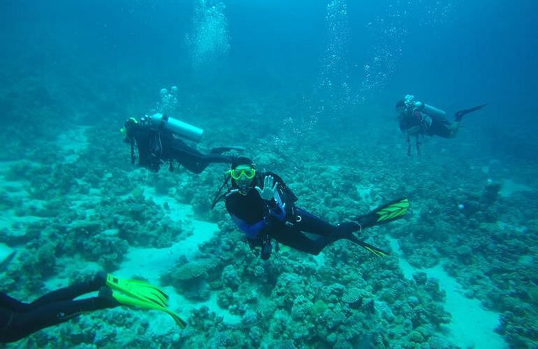 Fun Diving El Quseir - Ganztägige Tauchfahrt mit 2 Tauchgängen