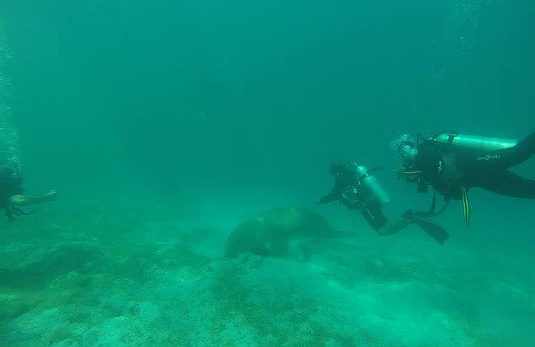 Fun Diving El Quseir - Ganztägige Tauchfahrt mit 2 Tauchgängen