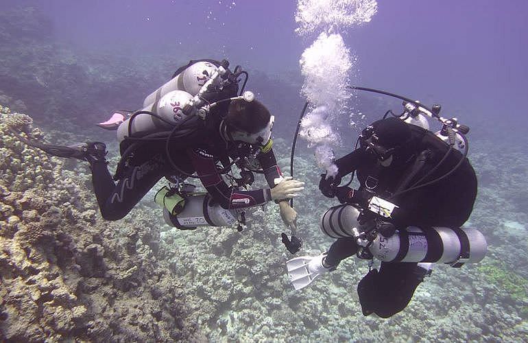 PADI Scuba Diver Kurs in El Quseir - Schnuppertauchkurs 1 Tag