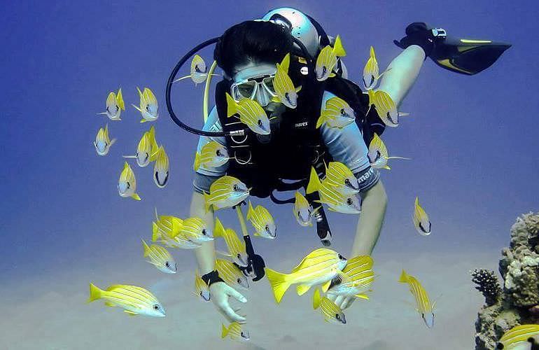 PADI Scuba Diver Kurs in El Quseir - Schnuppertauchkurs 1 Tag