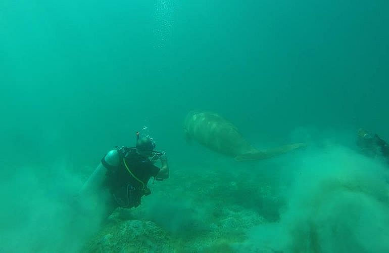 Auffrischungskurs: PADI Scuba Review Programm in El Quseir 