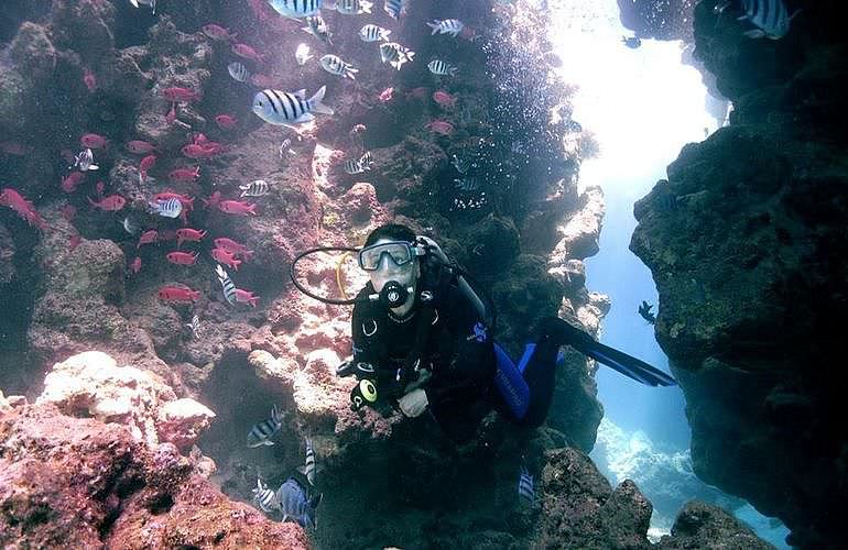 PADI Advanced Open Water Diver, Tauchkurs für Fortgeschrittene in El Quseir