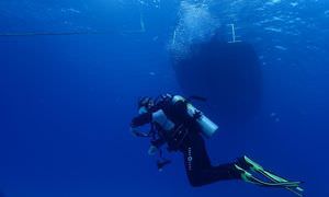 Auffrischungskurs: PADI Scuba Review Programm in El Quseir 